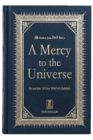 A Mercy to the Universe - Image 3